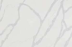 K8803